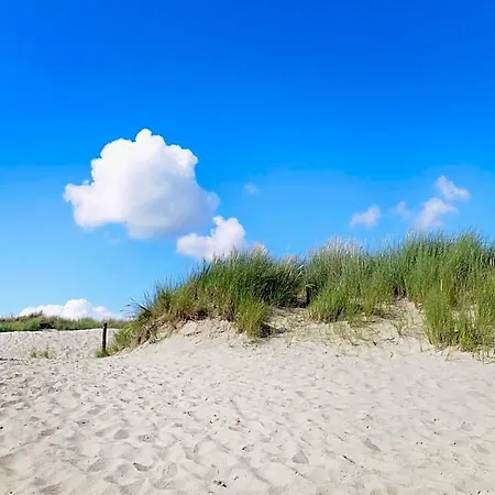 In Callantsoog Near North Holland Coast سْخاخن